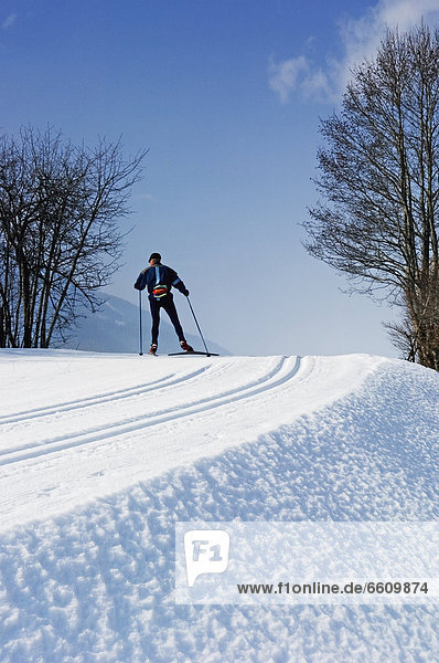 Cross Country Skiing In Obergesteln.