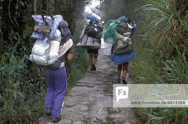 Porters carry tourists backpacks