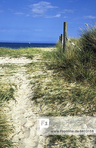 leer  Strand  Weg  Sand  Düne