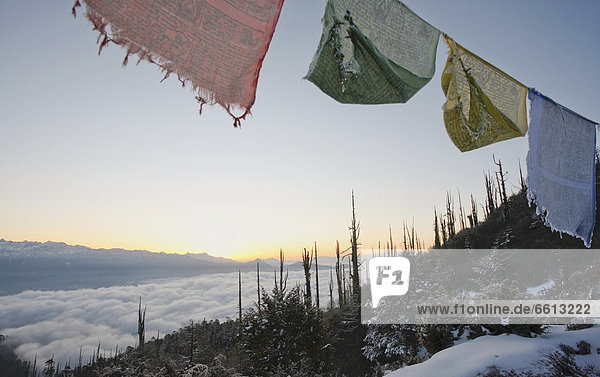 Prayer flags at sunrise over Himalayas  Paro Valley Bhutan
