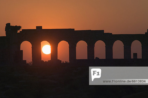 Sonnenuntergang  Ruine  Marokko  römisch  Volubilis