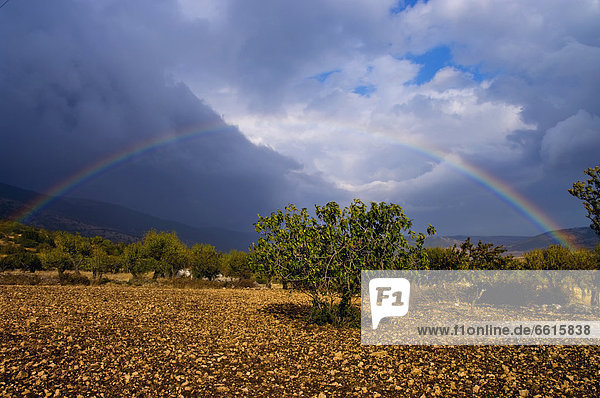 Gargano Landscape  Puglia  Italy © Charles Bowman/Axiom