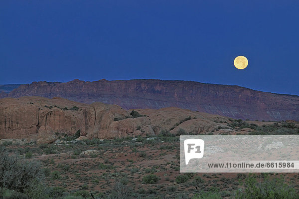 Arches National Park  Utah  Usa