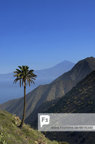 Island Of La Gomera. Canary Islands. Spain
