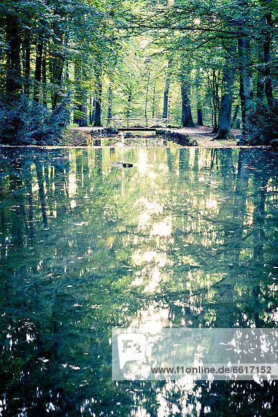 Hermitage grounds  Bayreuth  Bavaria  Germany  Europe