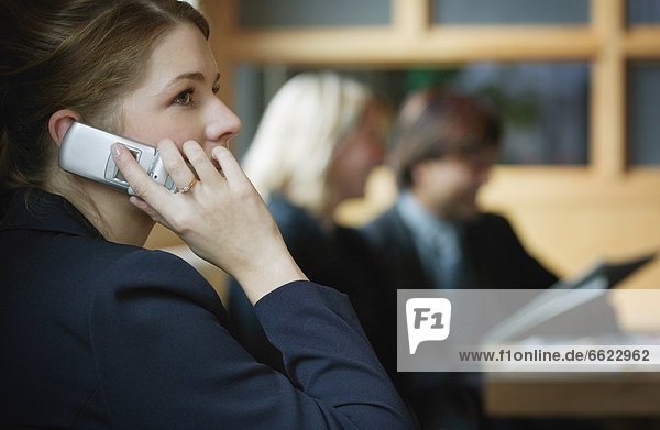 Professional Woman On Mobile Telephone
