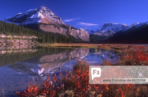 Jasper Nationalpark  Alberta  Kanada  Bergsee
