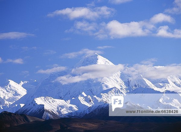 Vereinigte Staaten von Amerika  USA  Denali Nationalpark  Alaska  Mount Brooks