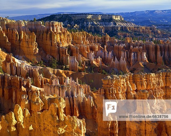 Vereinigte Staaten von Amerika  USA  Bryce Canyon Nationalpark  Utah