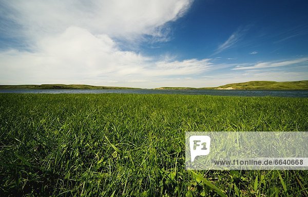 Field Of Grass With A Lake In The Distance