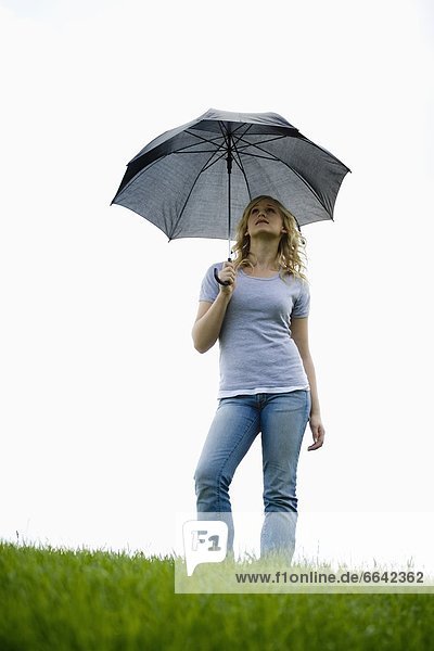 Frau  Regenschirm  Schirm