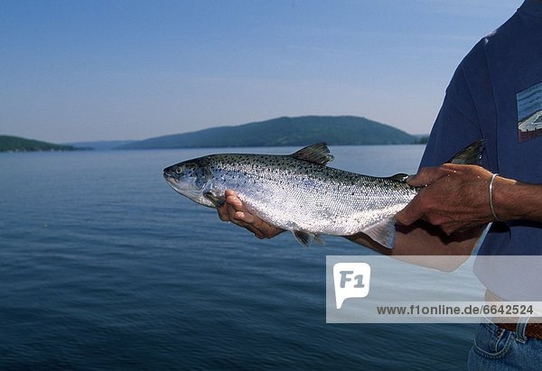 Fisherman Holding An Atlantic Salmon