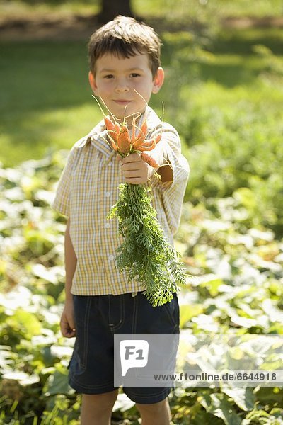 Boy Holding Freshly Picked Carrots
