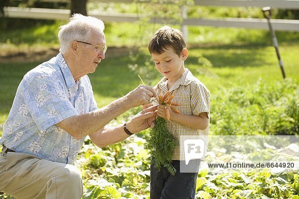 Grandfather Guiding Grandson In Garden