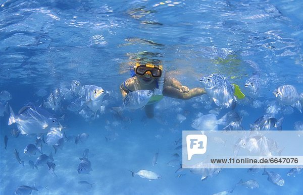 Girl Snorkeling In The Caribbean