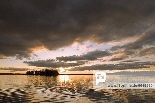Elch  Alces alces  Sonnenuntergang  über  See  Insel  Alberta  Kanada