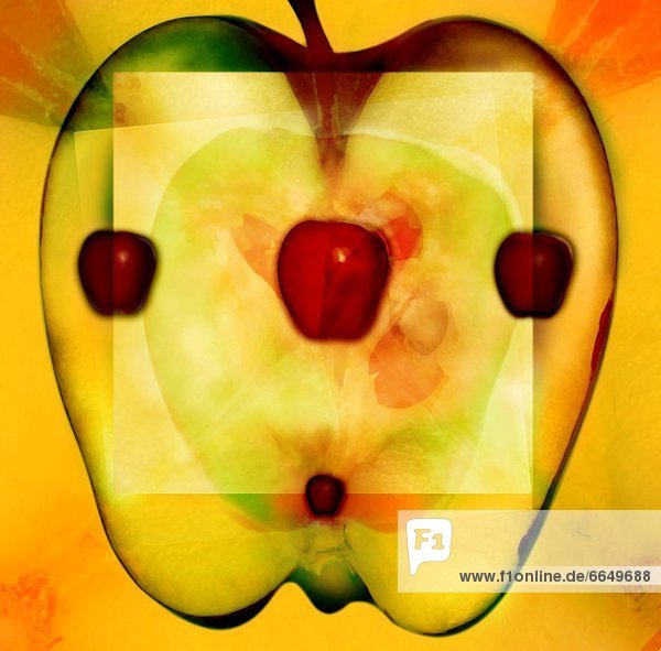 Illustration  Apfel