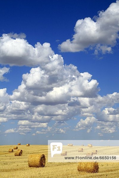 Hay Bales With White Clouds