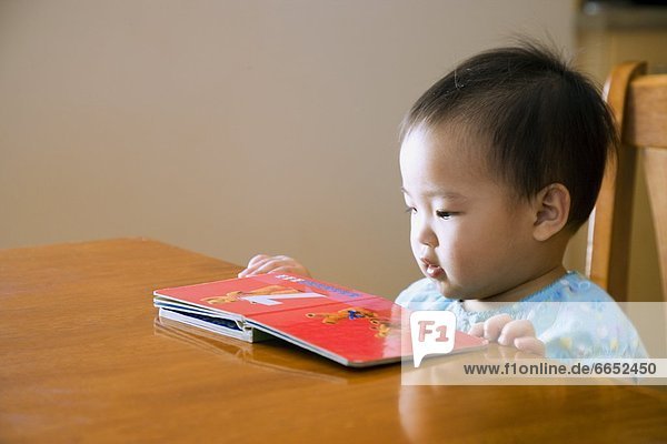 Toddler Looking At A Book
