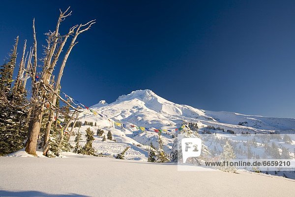 Vereinigte Staaten von Amerika  USA  Winter  Landschaft  Sonnenaufgang  Berg  Kapuze  Oregon