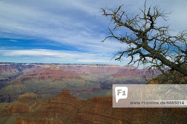Vereinigte Staaten von Amerika  USA  Arizona  Grand Canyon Nationalpark