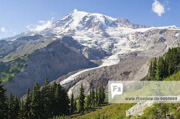 Vereinigte Staaten von Amerika  USA  Mount Rainier Nationalpark