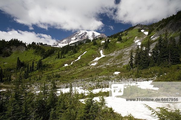 Vereinigte Staaten von Amerika  USA  Berg  Mount Rainier Nationalpark  Schnee