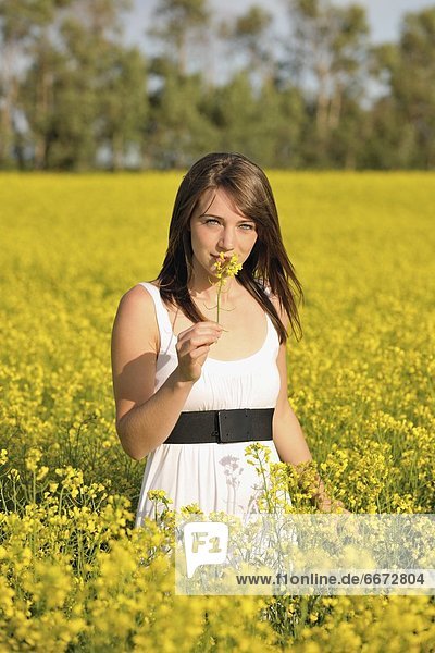 Young Woman In A Canola Field