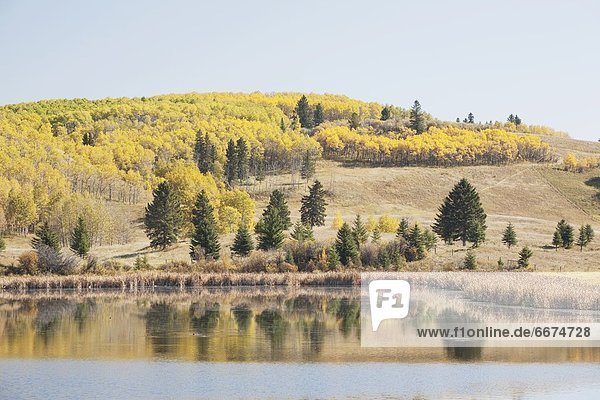 Reflection Of Foothills In Lake In Autumn  Alberta  Canada