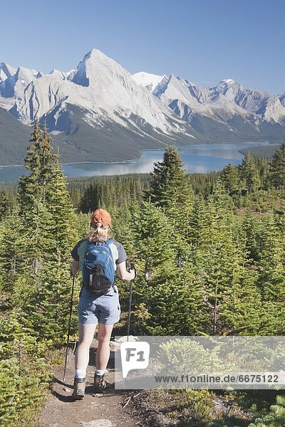 Female Hiker On Trail With Hiking Sticks  Jasper National Park  Alberta  Canada