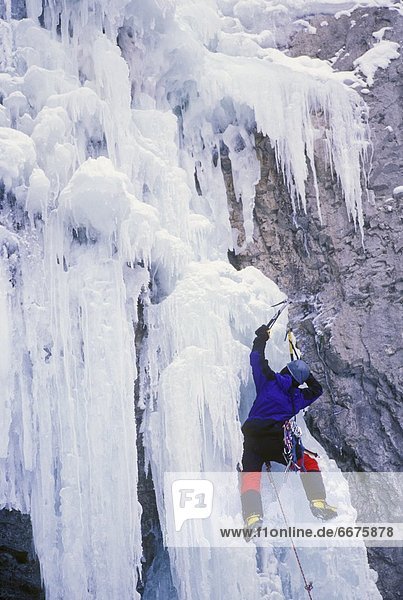 Mann  Eis  Wasserfall  British Columbia  Kanada  klettern  gefroren
