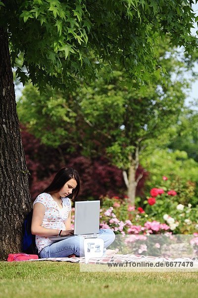 Jugendlicher Computer Notebook Baum arbeiten unterhalb Mädchen