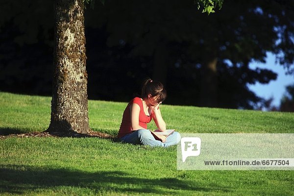 A Girl Reading A Book In The Park
