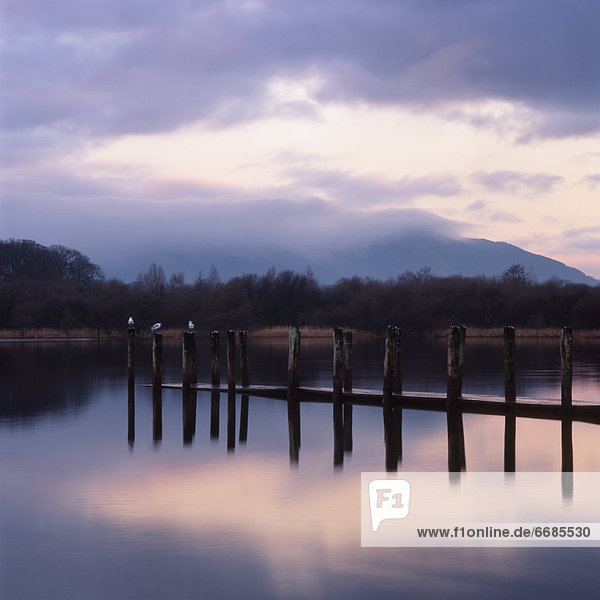 Pier Pilings  Cumbria  England