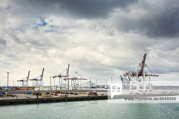 Cranes at Seaport  Dunkirk  France  Europe