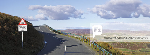 Country Road with Sign