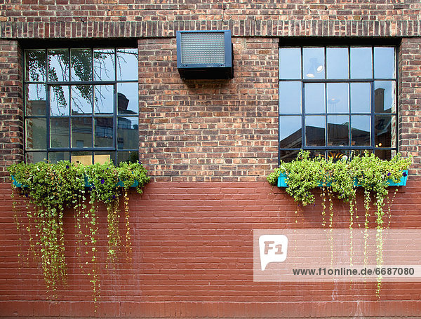 Flower Boxes on a Brick Wall