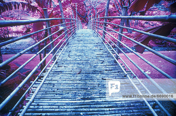 Brücke Bambus