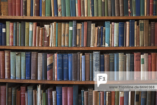 Bücherregal  Buch  alt