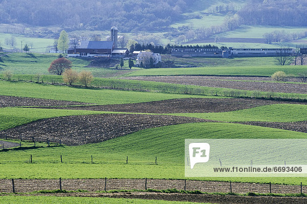 Amish Farmhouse and Farmland