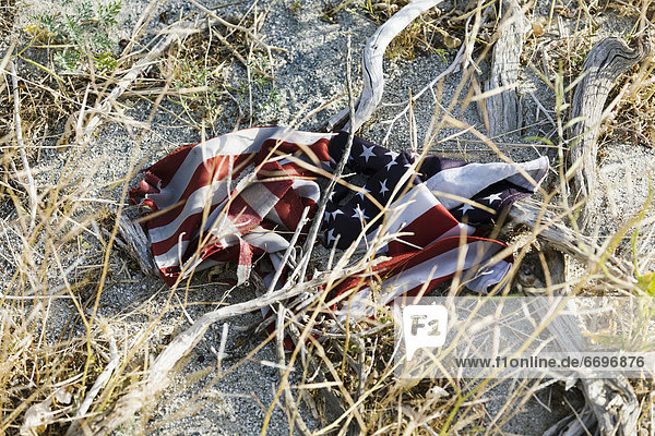 Discarded American Flag