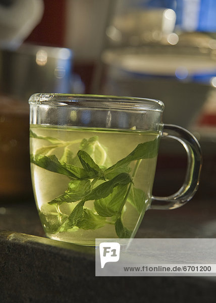 durchsichtig  transparent  transparente  transparentes  Tasse  Glas  Minze  Tee