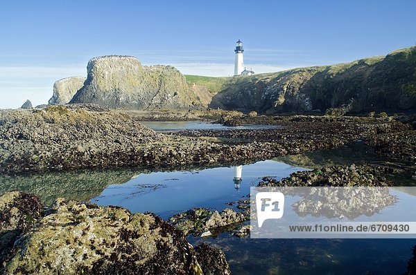 'Low Tide At Yaquina Head Lighthouse