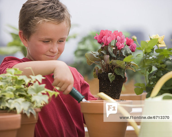 Boy watering potted plants
