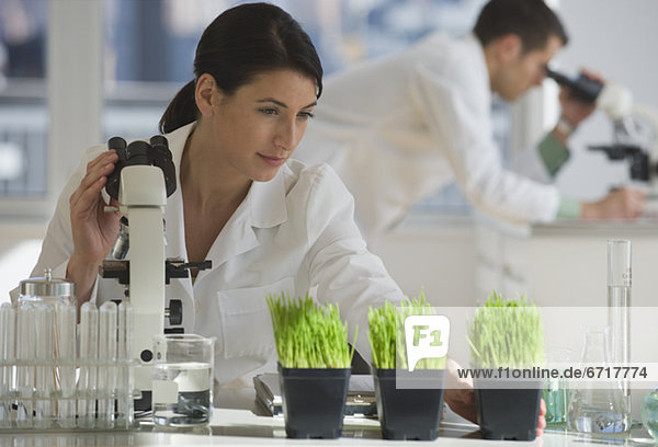 Labor  Wissenschaftler  Pflanze  Pharmazie  Untersuchung