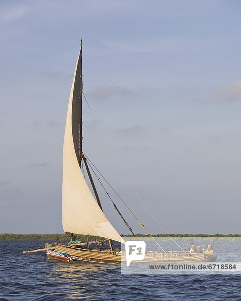 Ostafrika  Segeln  Tradition  Küste  Boot  Dau  Kenia