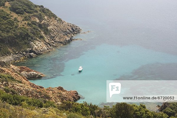 Ligurian Sea  West Coast  Corsica  France