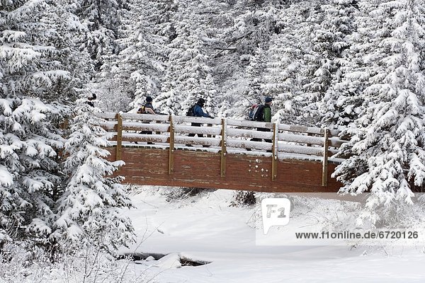 4  bedecken  Brücke  wandern  Schnee