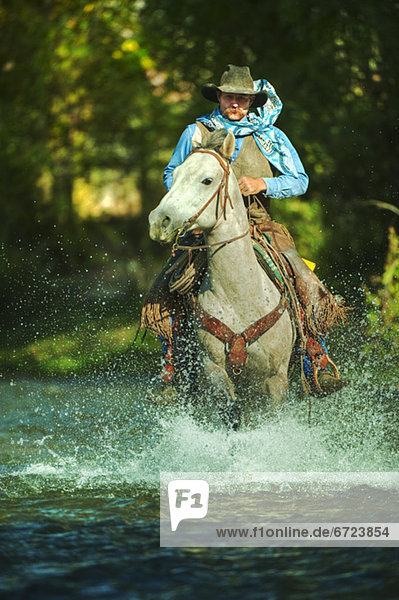 Wasser  reiten - Pferd