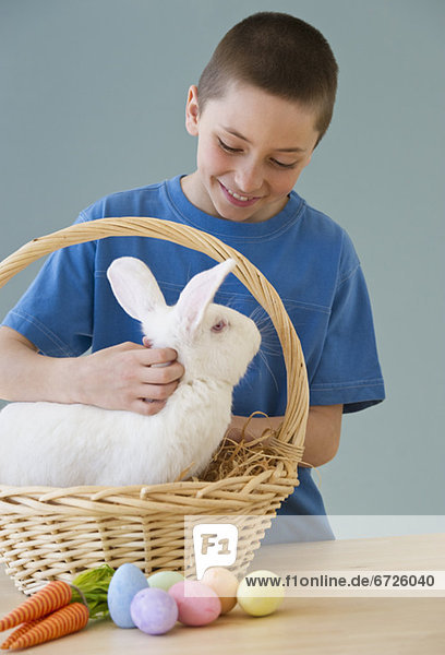 Junge - Person streicheln Kaninchen jung Osterkorb